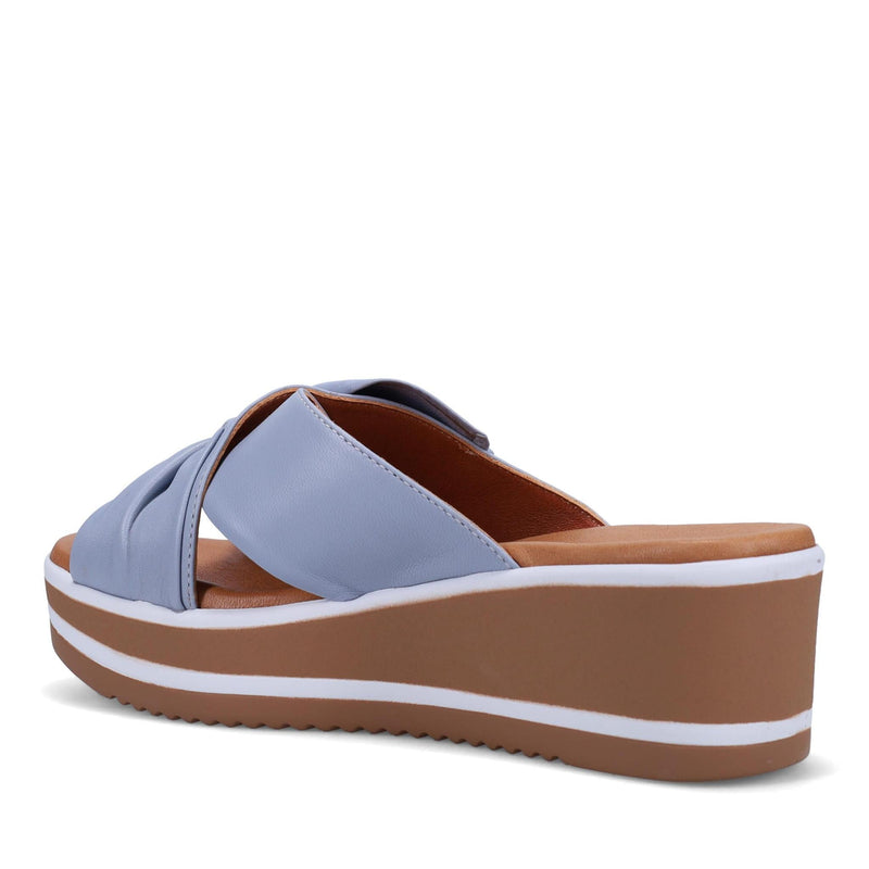 Patrika Periwinkle