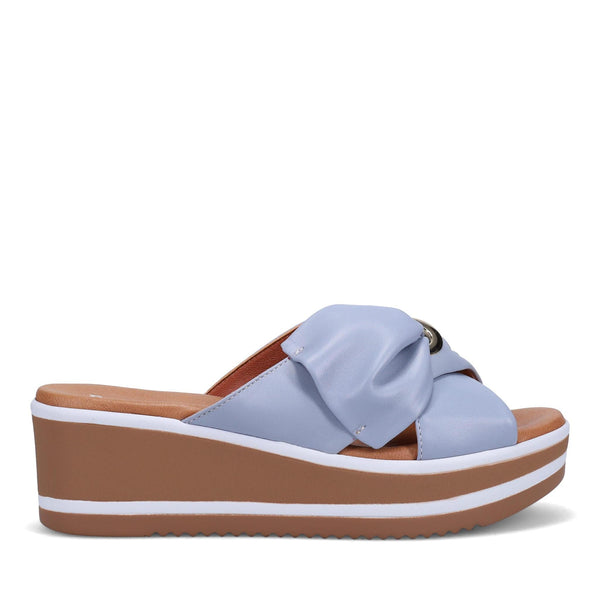 Patrika Periwinkle
