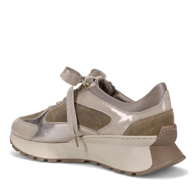 Zendaya Oyster