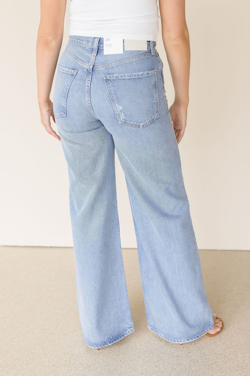 Paloma Wide Leg Baggy Jean