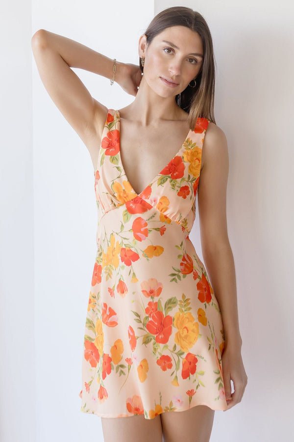 Frankie Mini Dress