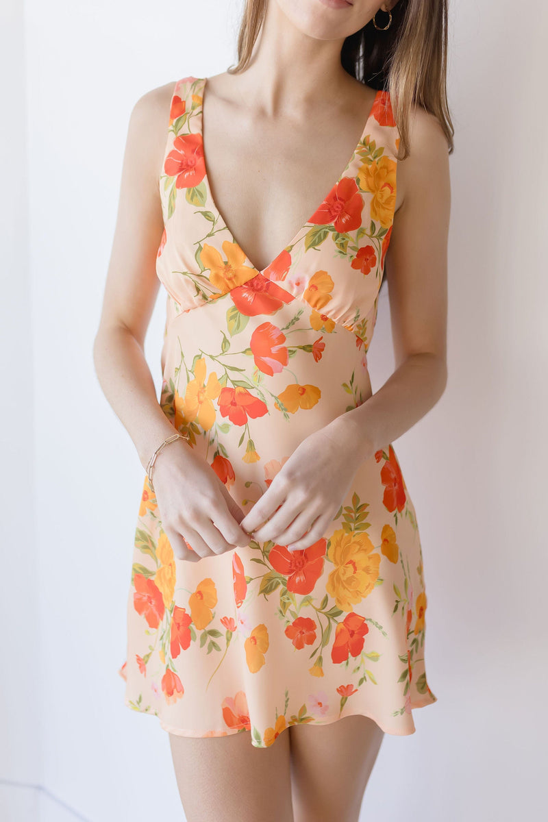 Frankie Mini Dress