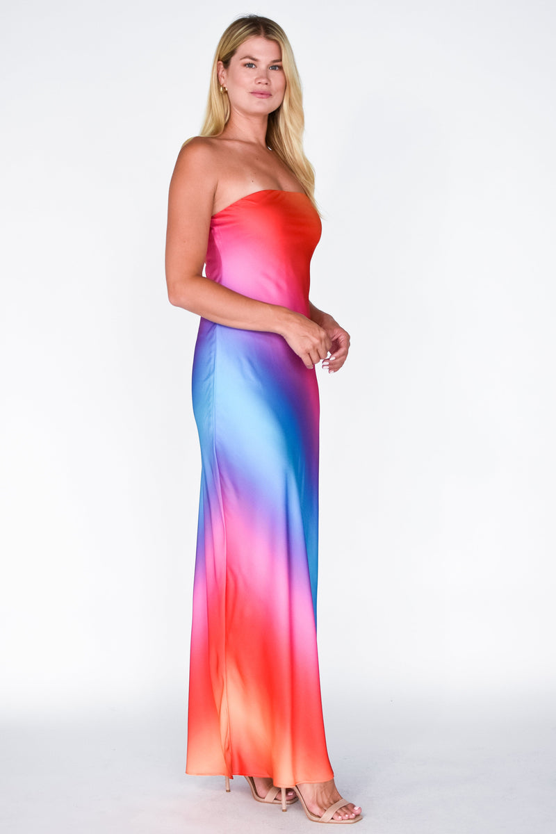 Taylor Tube Dress