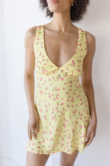 Frankie Mini Dress