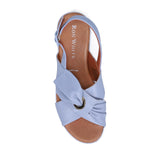 Pammie Periwinkle
