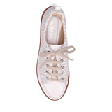 Norelle Oyster