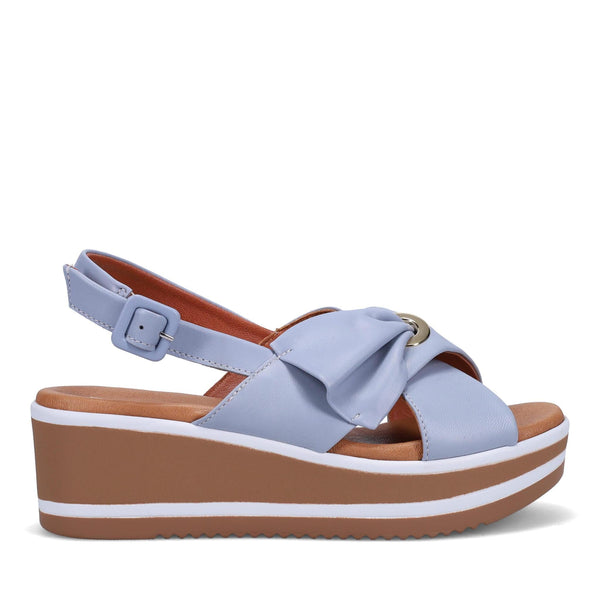 Pammie Periwinkle